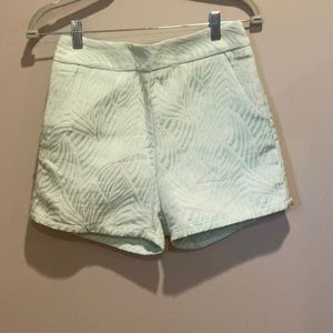 High Waisted Green Shorts. Size Small